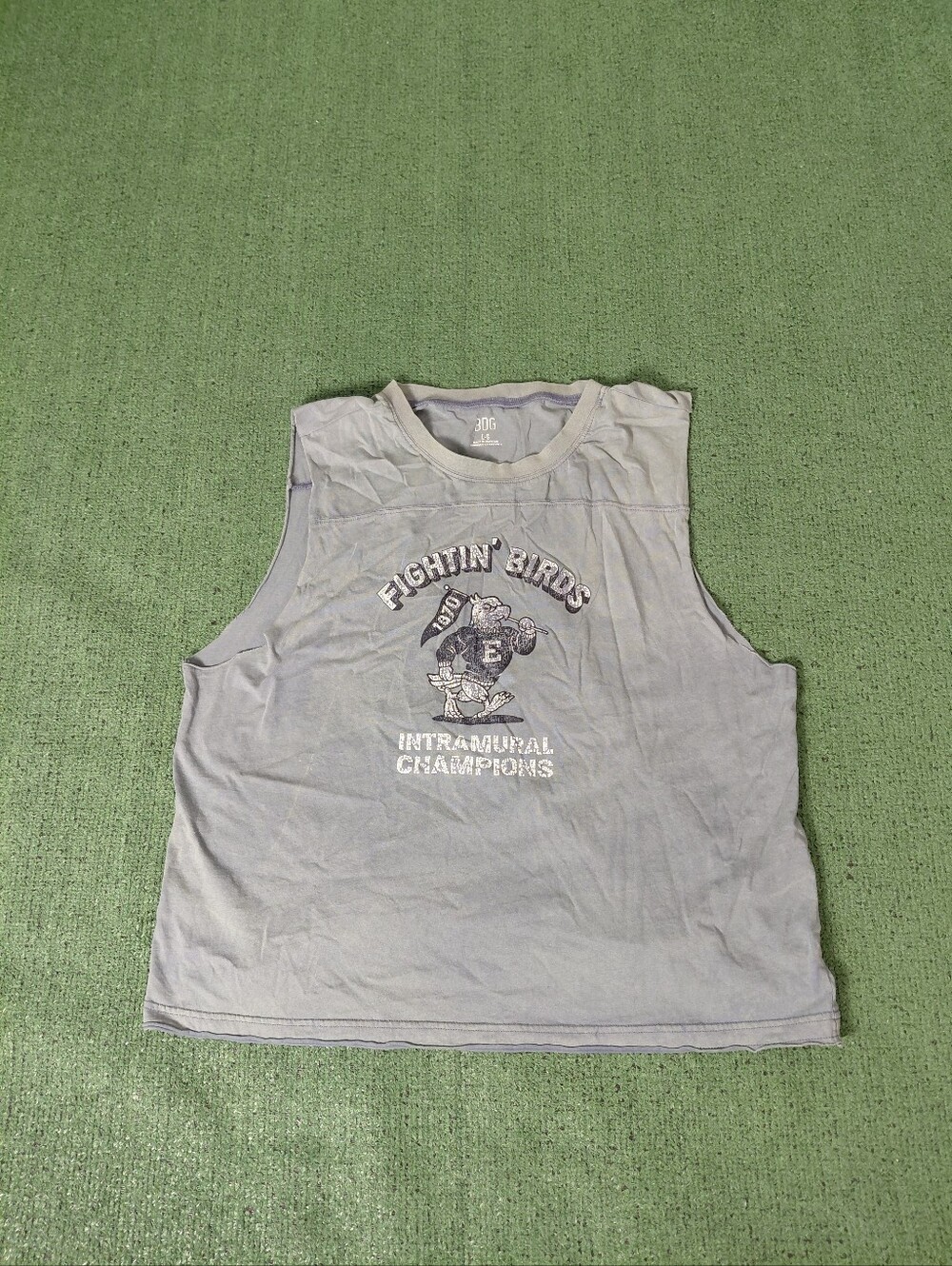 Urban Outfitters BDG Line "Fightin' Birds" Intramural Champions Mascot Faded Blu